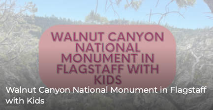 Walnut Canyon National Monument in Flagstaff with Kids
